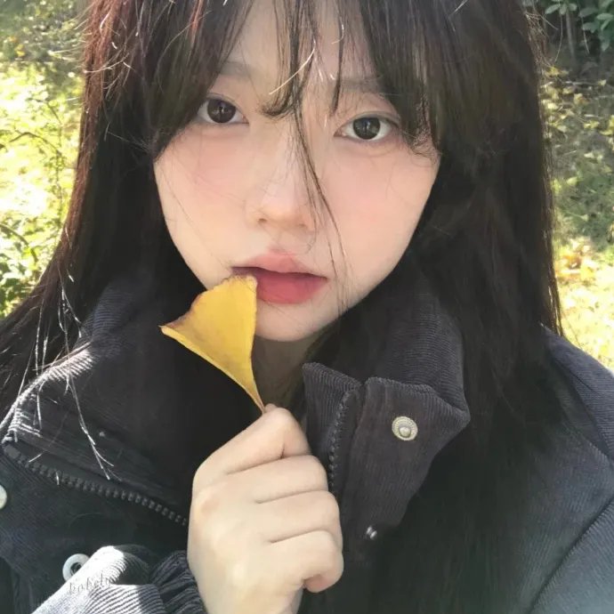 草木人间海报